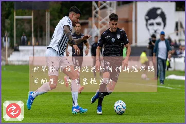 世界杯下注网站该如何判断冠军赔率的变化与可靠性分析