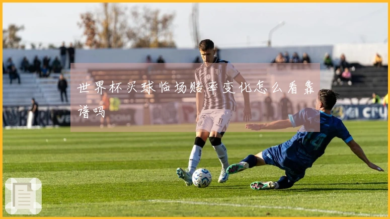 世界杯买球临场赔率变化怎么看靠谱吗