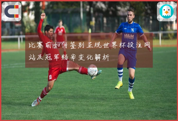 比赛前如何鉴别正规世界杯投注网站及冠军赔率变化解析